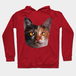 Cat with amber firey eyes painting Hoodie